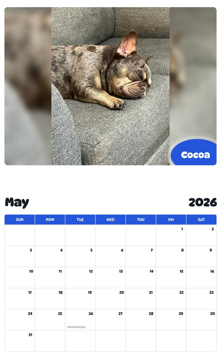 2026 - 2027 Cocoa - Pawidols Pet Calendar
