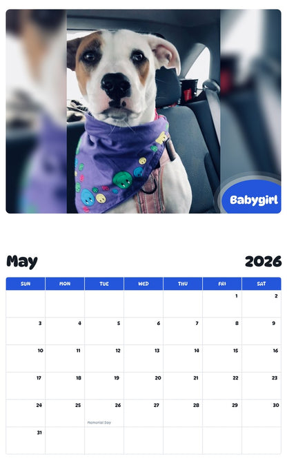 2026 - 2027 Babygirl - Pawidols Pet Calendar