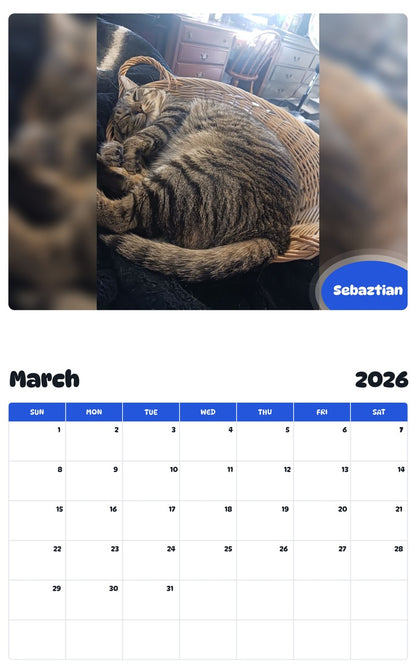 November 2025 - October 2026 Sebaztian - Pawidols Pet Calendar