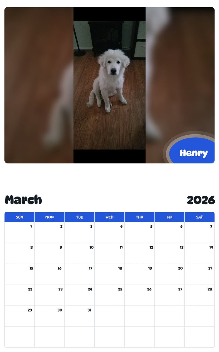 November 2025 - October 2026 Henry - Pawidols Pet Calendar