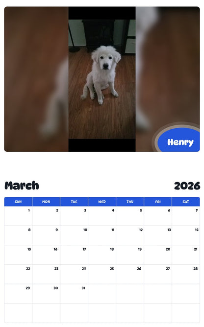 November 2025 - October 2026 Henry - Pawidols Pet Calendar