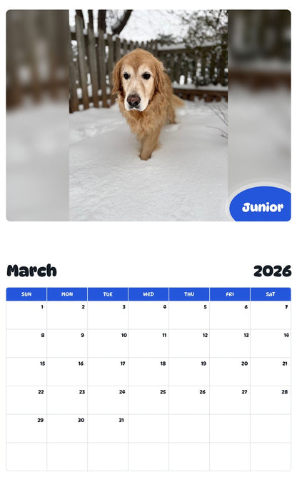 November 2025 - October 2026 Junior - Pawidols Pet Calendar