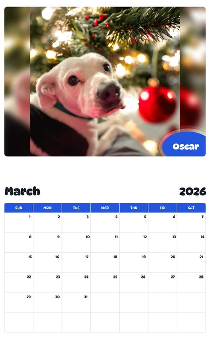 November 2025 - October 2026 Oscar - Pawidols Pet Calendar