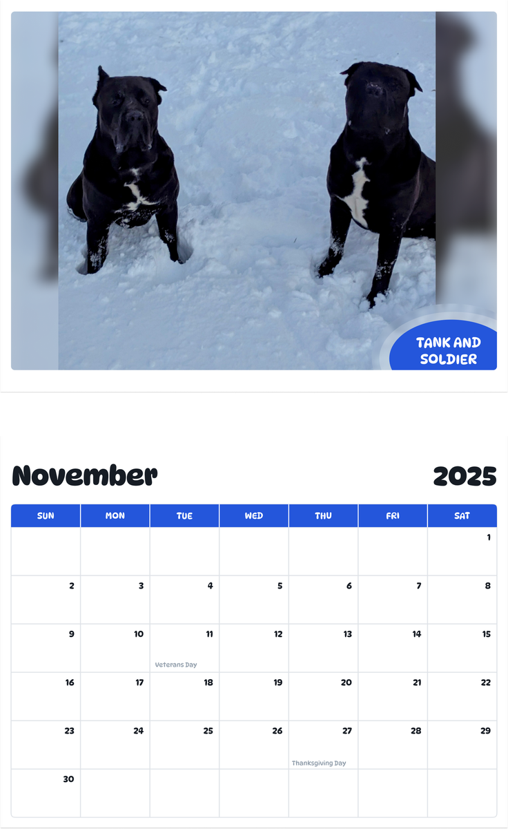 July 2025 - June 2026 Tank and Soldier - Pawidols Pet Calendar