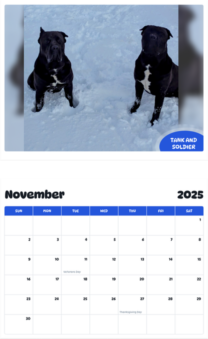 July 2025 - June 2026 Tank and Soldier - Pawidols Pet Calendar