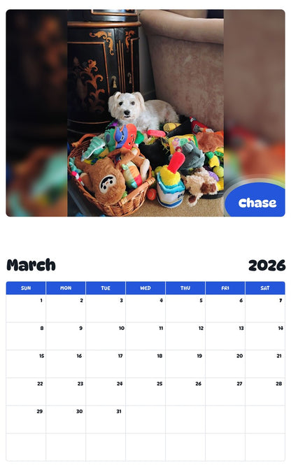 November 2025 - October 2026 Chase - Pawidols Pet Calendar