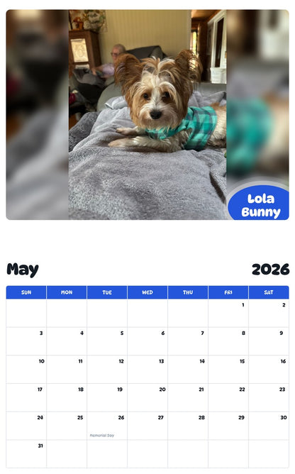 2026 - 2027 Lola Bunny - Pawidols Pet Calendar