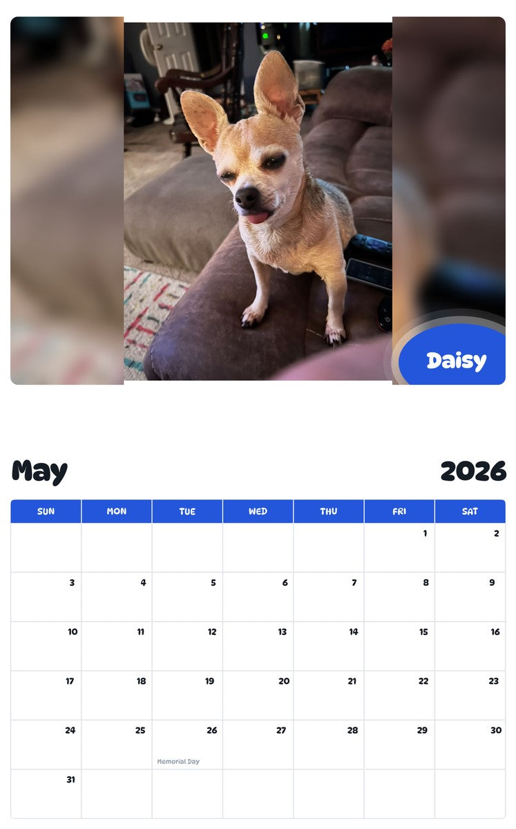 2026 - 2027 Daisy - Pawidols Pet Calendar