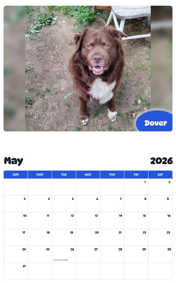 2026 - 2027 Dover - Pawidols Pet Calendar