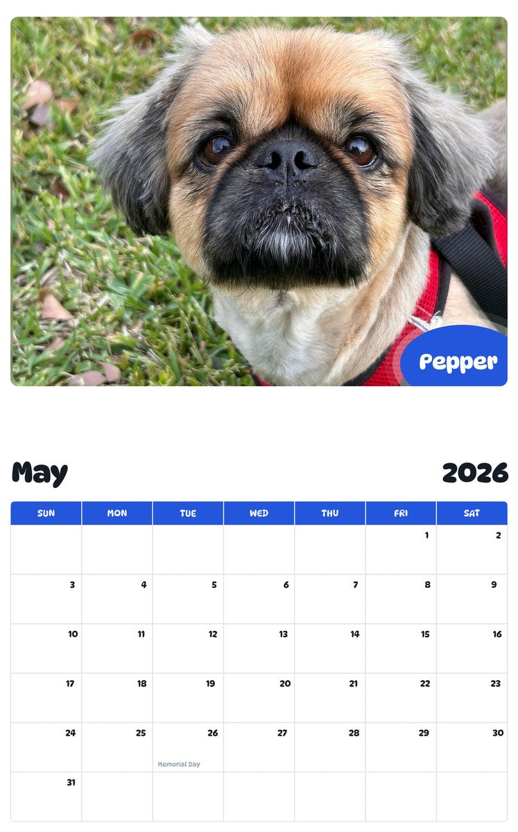 2026 - 2027 Pepper - Pawidols Pet Calendar