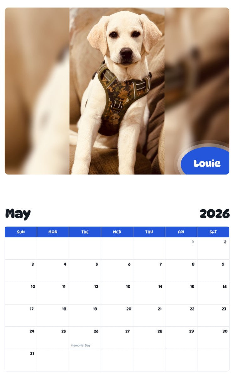 2026 - 2027 Louie - Pawidols Pet Calendar