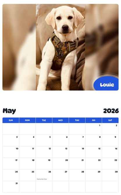 2026 - 2027 Louie - Pawidols Pet Calendar