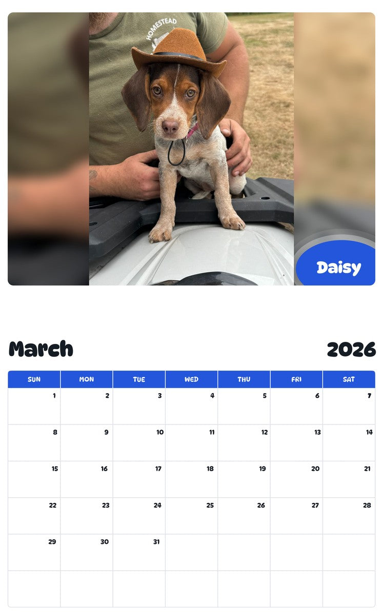 November 2025 - October 2026 Daisy - Pawidols Pet Calendar