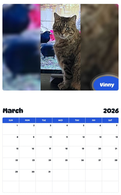 November 2025 - October 2026 Vinny - Pawidols Pet Calendar
