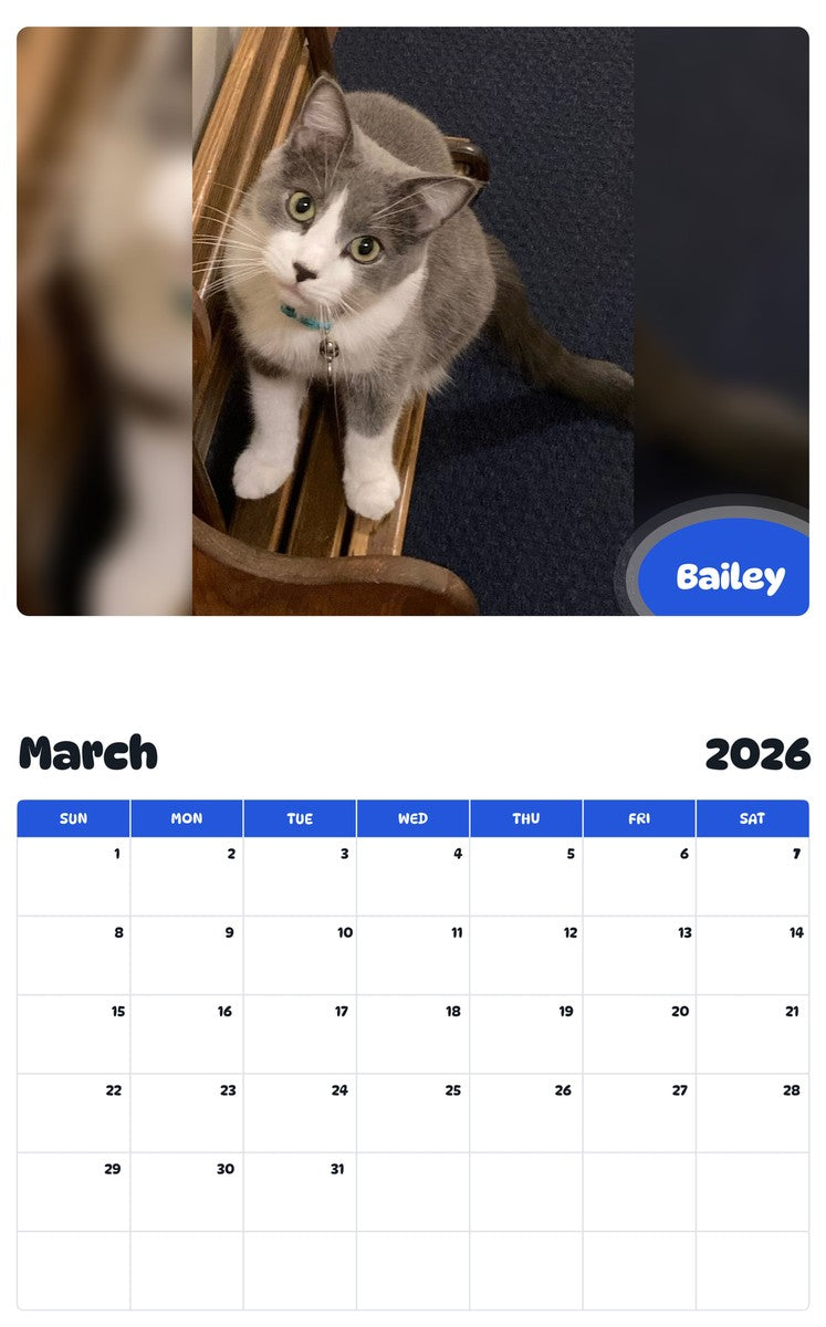November 2025 - October 2026 Bailey - Pawidols Pet Calendar
