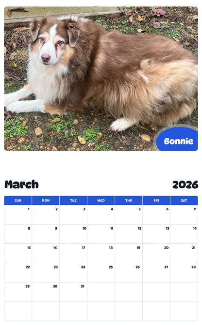 November 2025 - October 2026 Bonnie - Pawidols Pet Calendar