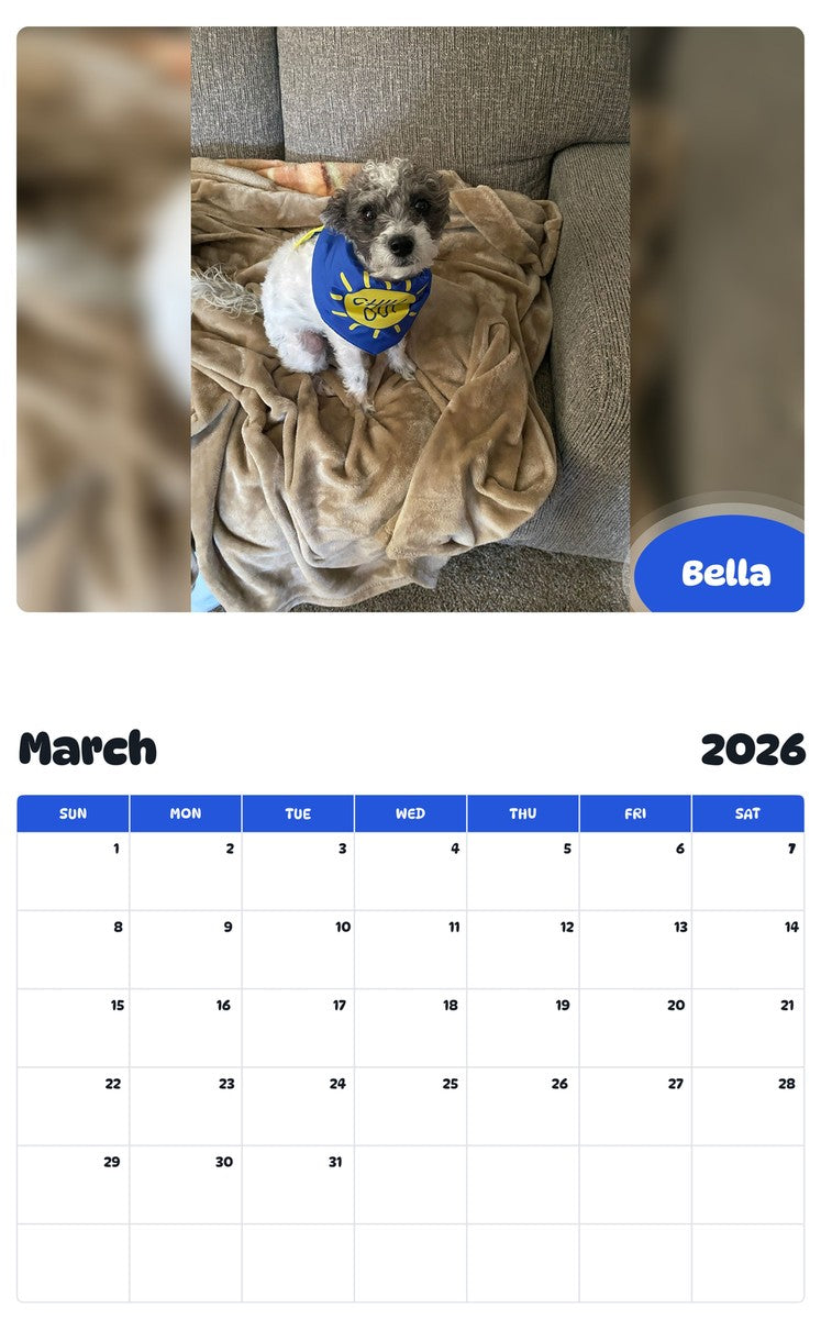 November 2025 - October 2026 Bella - Pawidols Pet Calendar