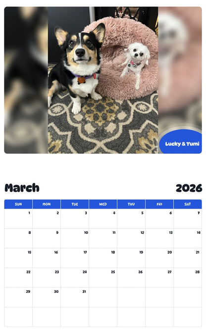 November 2025 - October 2026 Lucky & Yumi - Pawidols Pet Calendar