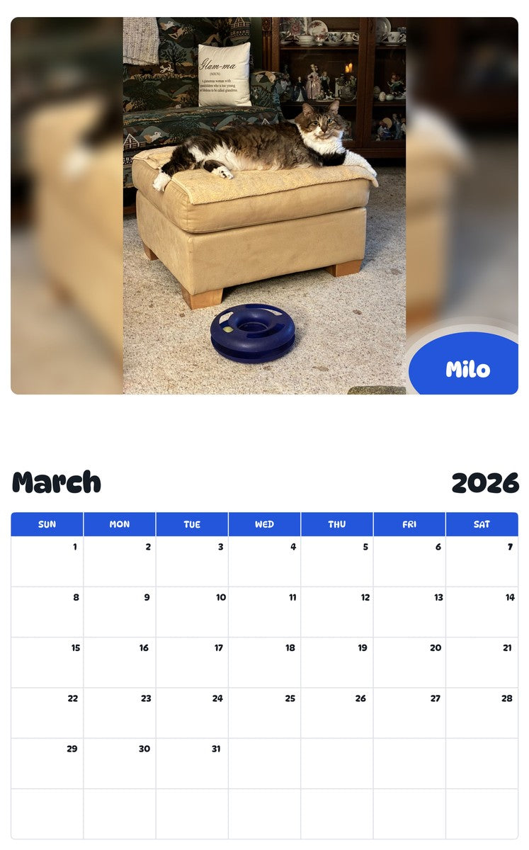 November 2025 - October 2026 Milo - Pawidols Pet Calendar