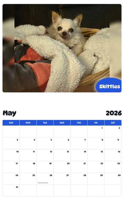 2026 - 2027 Skittles - Pawidols Pet Calendar