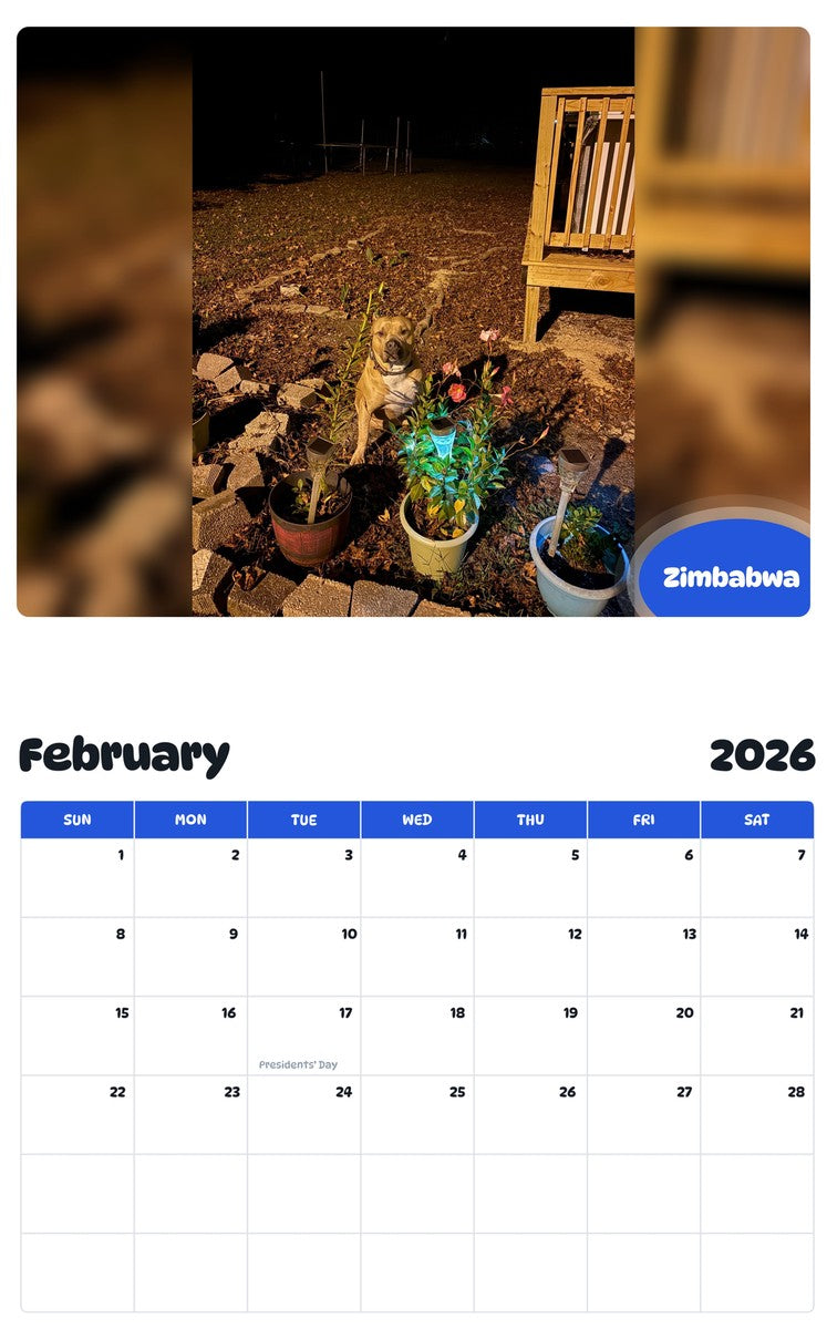 November 2025 - October 2026 Zimbabwa - Pawidols Pet Calendar