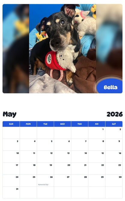 2026 - 2027 Bella - Pawidols Pet Calendar