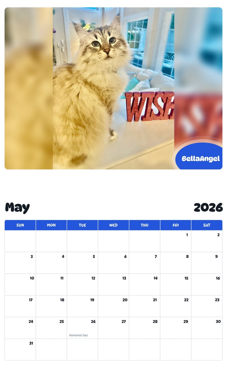 2026 - 2027 BellaAngel - Pawidols Pet Calendar