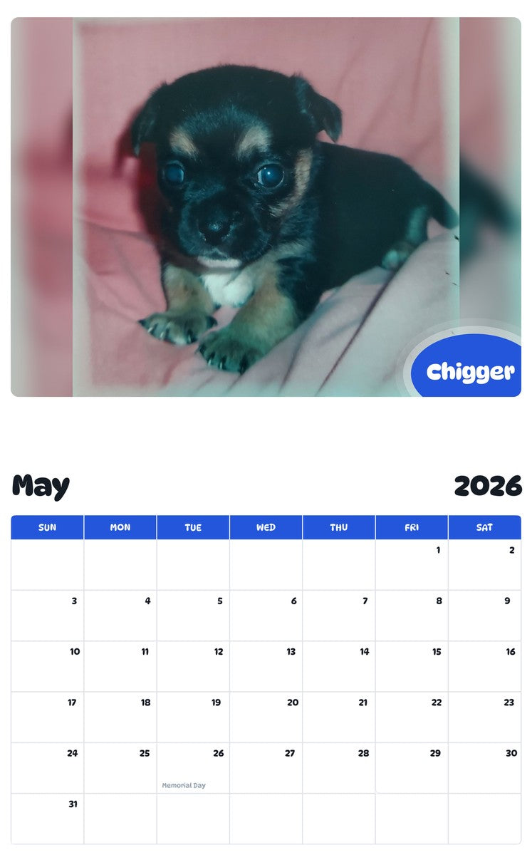 2026 - 2027 Chigger - Pawidols Pet Calendar