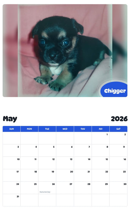 2026 - 2027 Chigger - Pawidols Pet Calendar