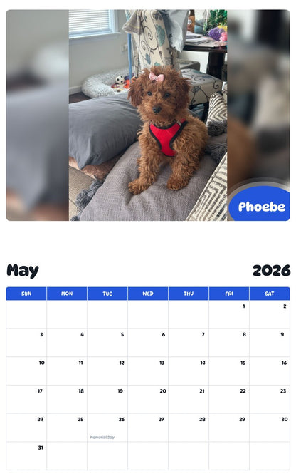 2026 - 2027 Phoebe - Pawidols Pet Calendar