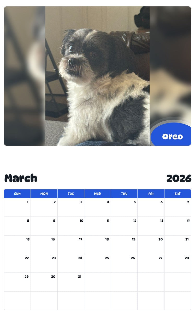 November 2025 - October 2026 Oreo - Pawidols Pet Calendar