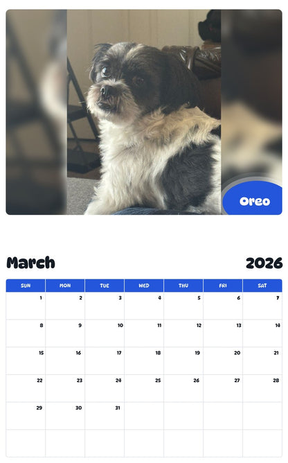 November 2025 - October 2026 Oreo - Pawidols Pet Calendar