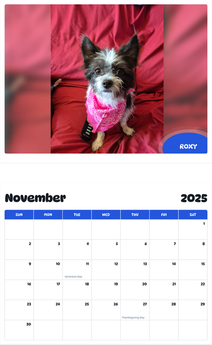 July 2025 - June 2026 Roxy - Pawidols Pet Calendar