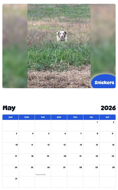 2026 - 2027 Snickers - Pawidols Pet Calendar