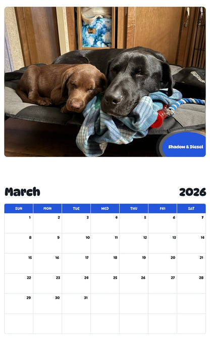 November 2025 - October 2026 Shadow & Diesel - Pawidols Pet Calendar