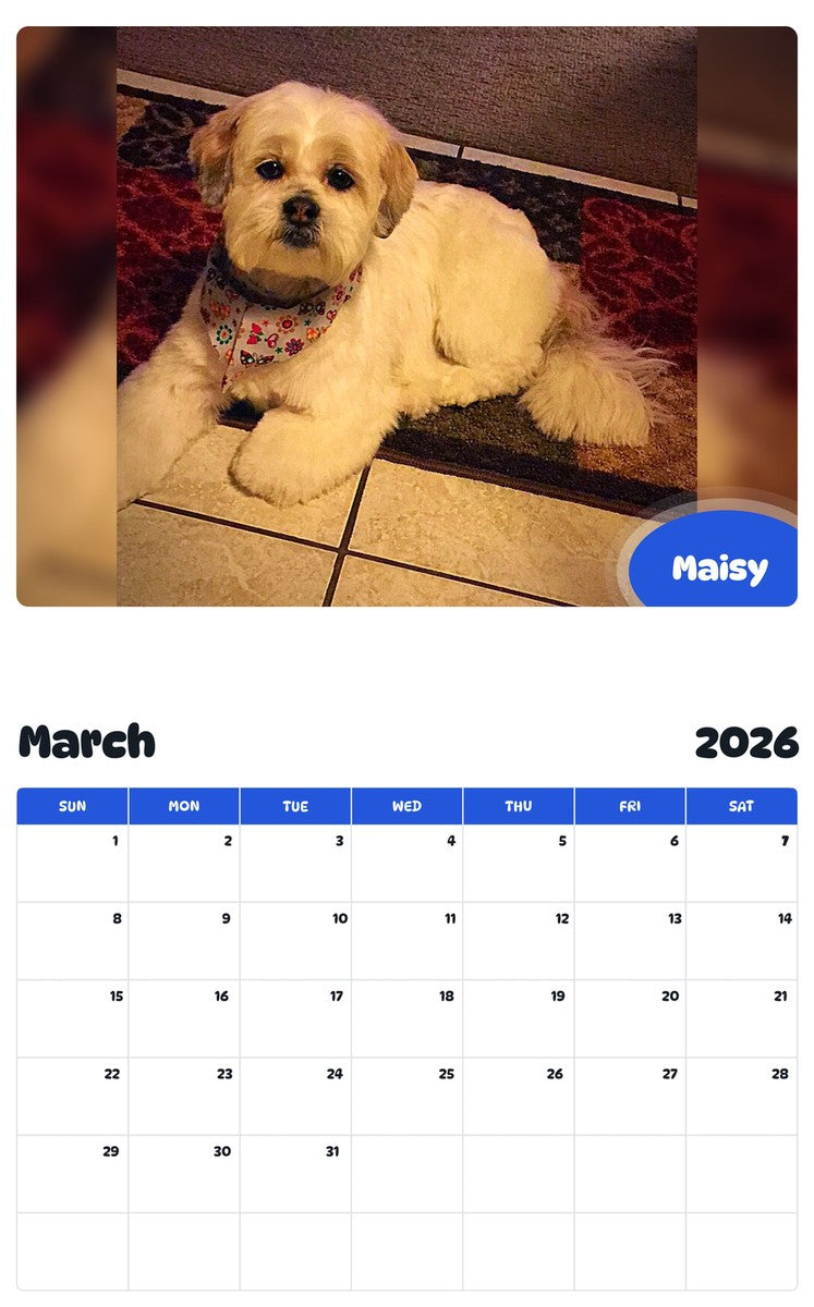 November 2025 - October 2026 Maisy - Pawidols Pet Calendar