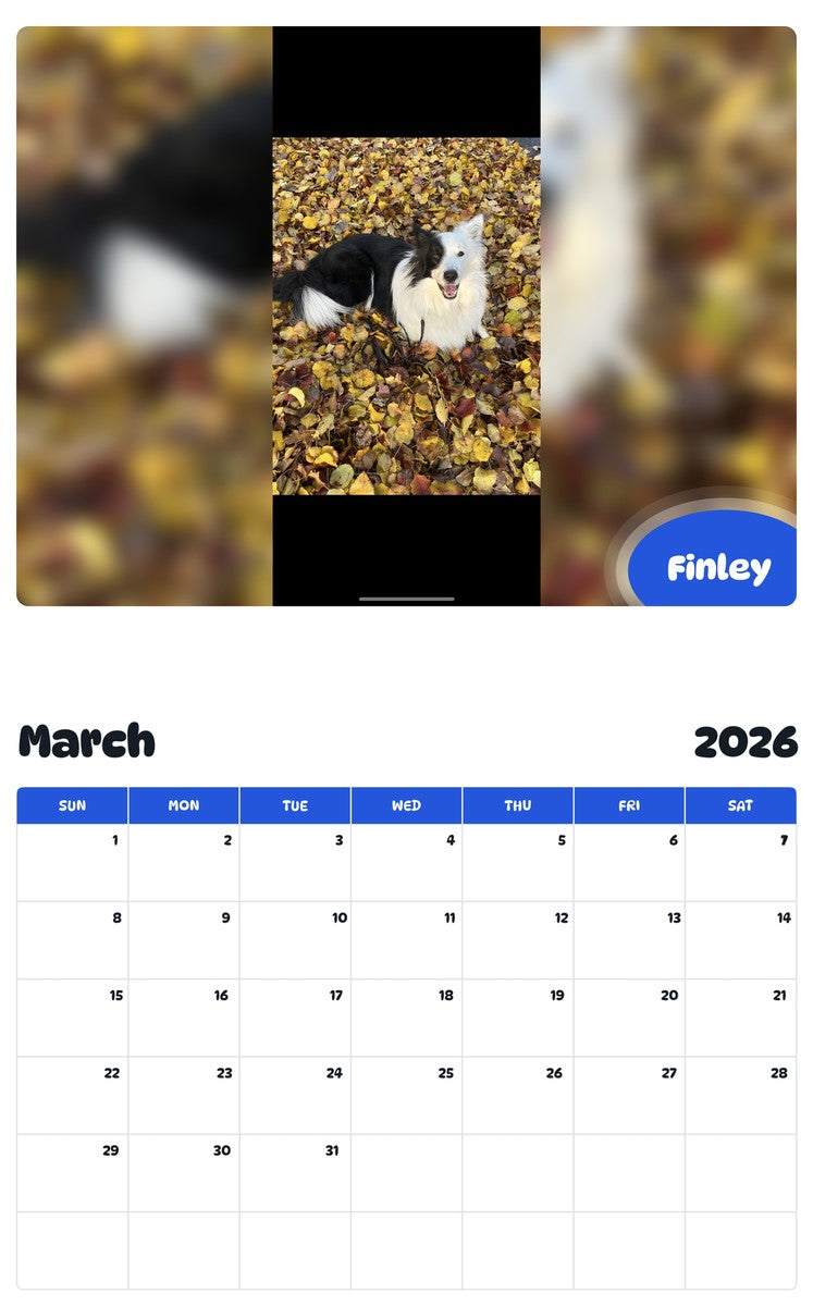 November 2025 - October 2026 Finley - Pawidols Pet Calendar