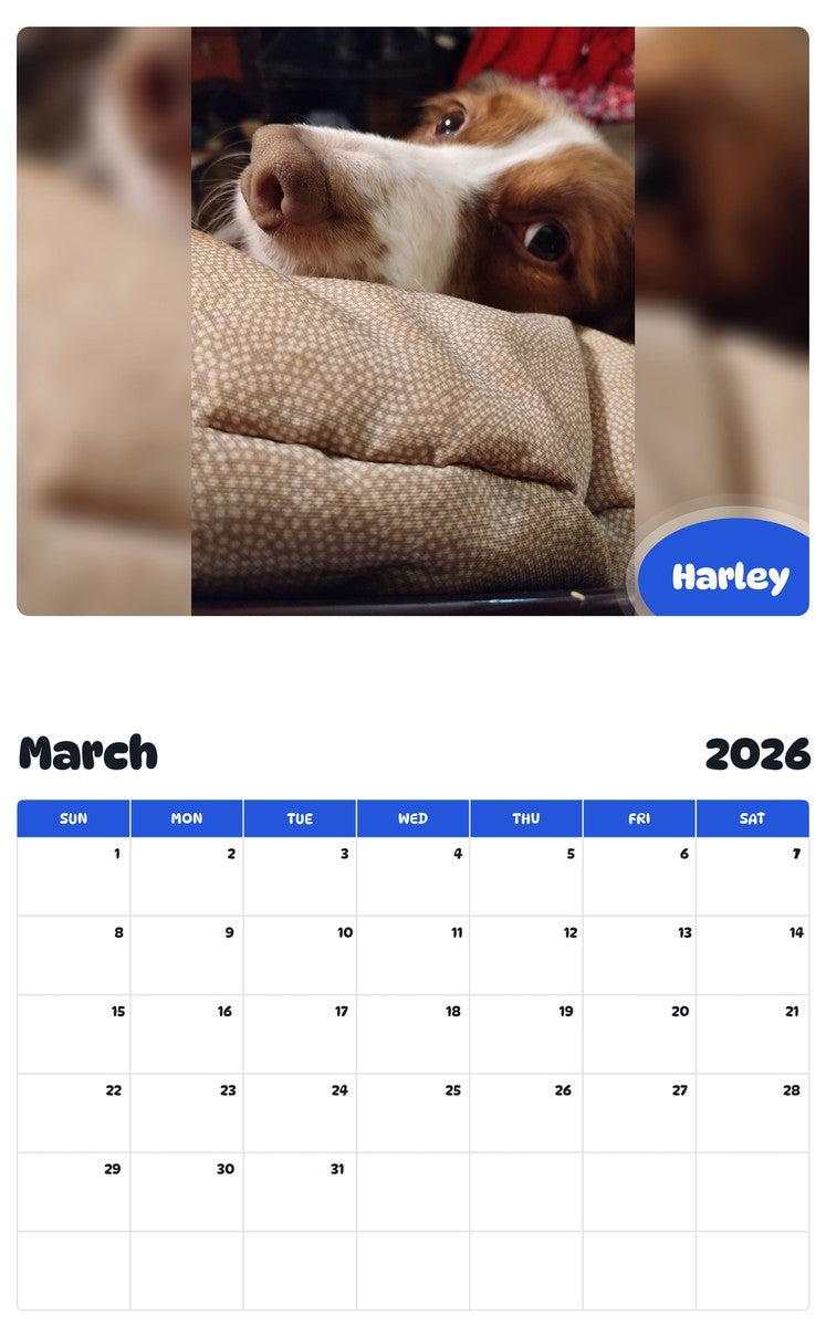 November 2025 - October 2026 Harley - Pawidols Pet Calendar