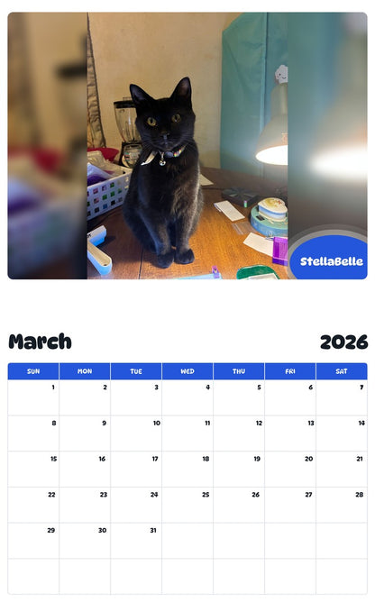 November 2025 - October 2026 StellaBelle - Pawidols Pet Calendar
