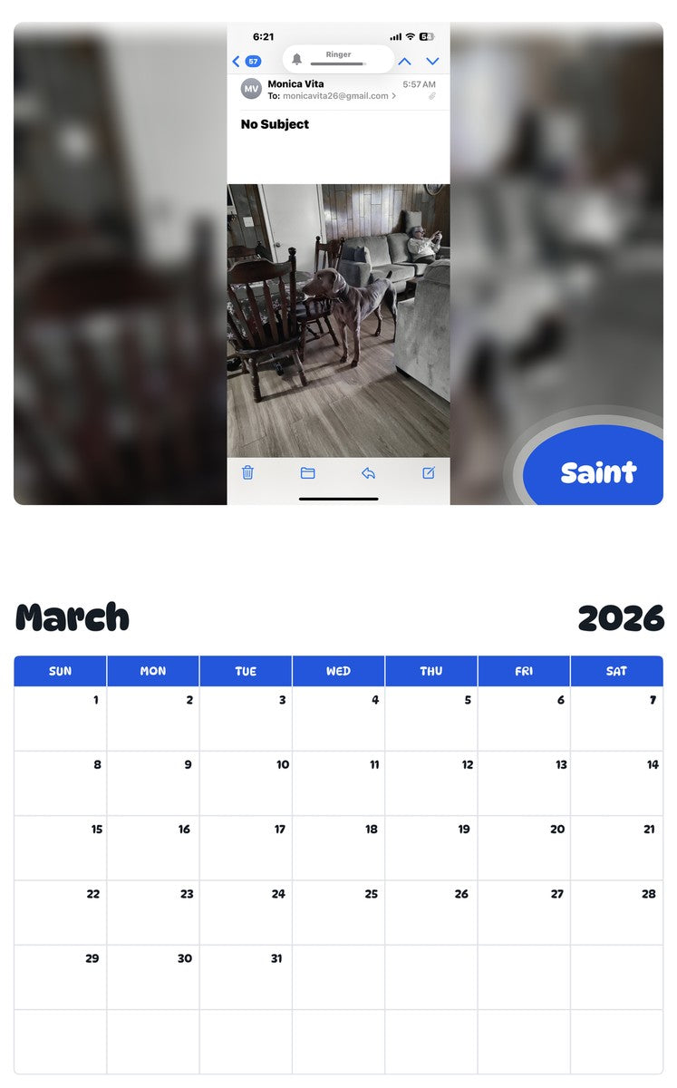 November 2025 - October 2026 Saint - Pawidols Pet Calendar