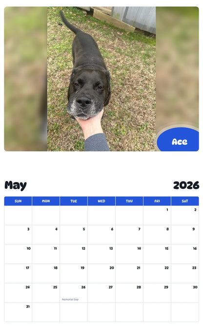 2026 - 2027 Ace - Pawidols Pet Calendar