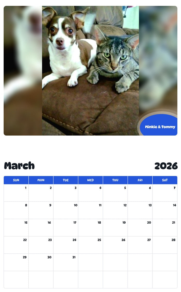 November 2025 - October 2026 Minkie & Tommy - Pawidols Pet Calendar