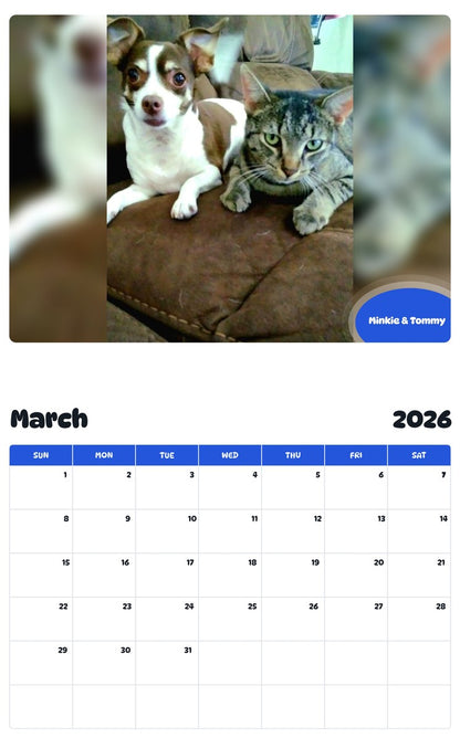 November 2025 - October 2026 Minkie & Tommy - Pawidols Pet Calendar