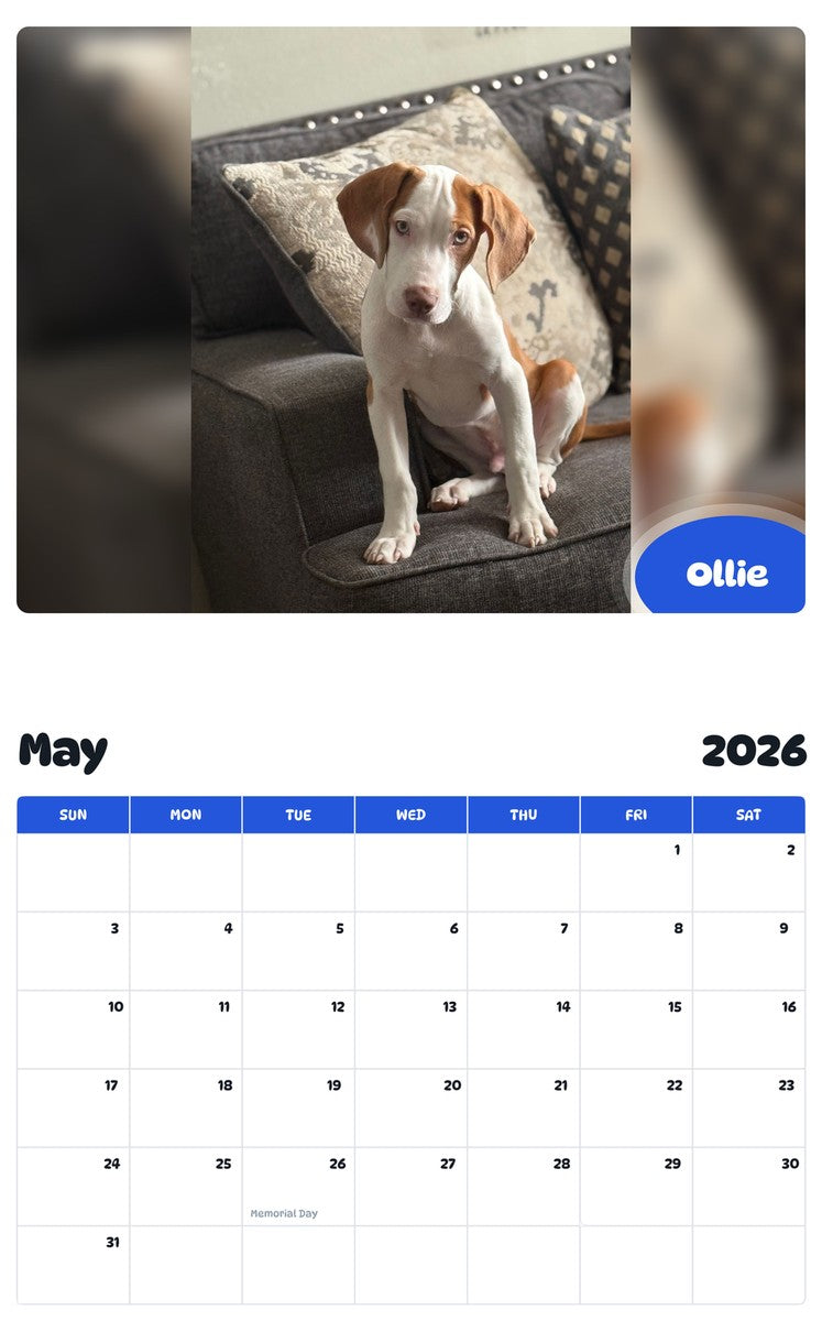 2026 - 2027 Ollie - Pawidols Pet Calendar