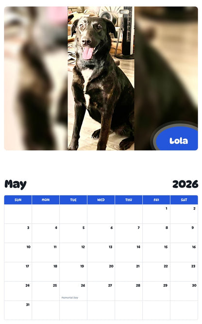 2026 - 2027 Lola - Pawidols Pet Calendar