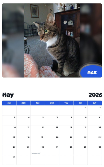 2026 - 2027 MAX - Pawidols Pet Calendar
