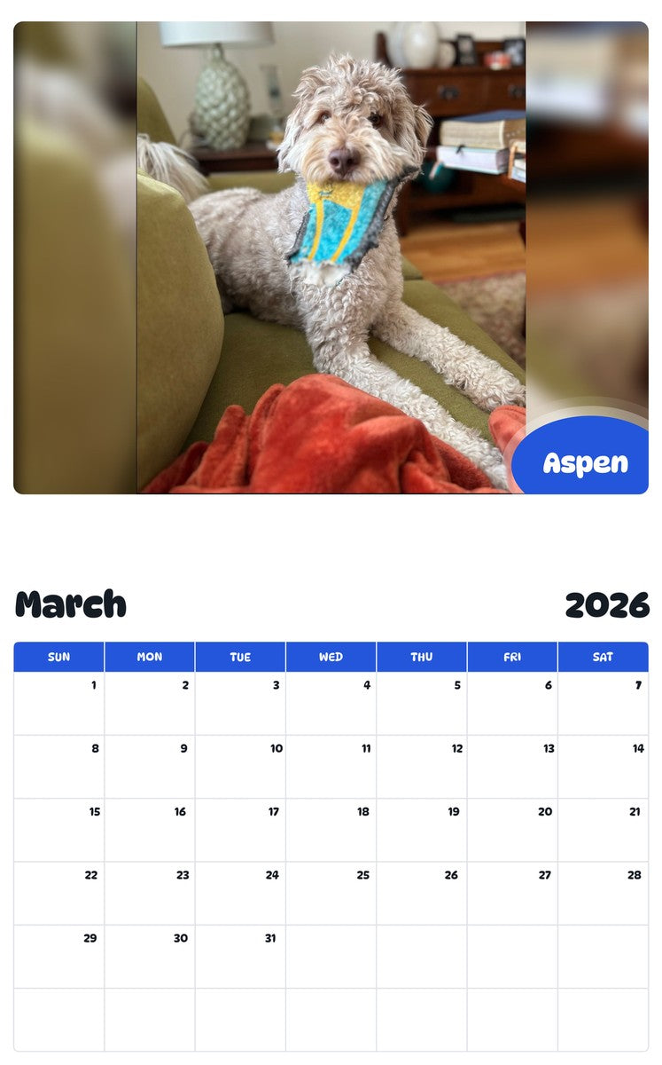 November 2025 - October 2026 Aspen - Pawidols Pet Calendar