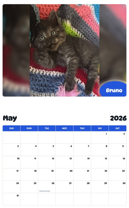 2026 - 2027 Bruno - Pawidols Pet Calendar