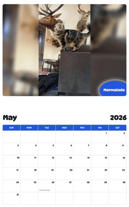 2026 - 2027 Marmalade - Pawidols Pet Calendar
