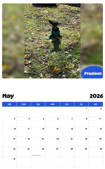 2026 - 2027 Precious - Pawidols Pet Calendar